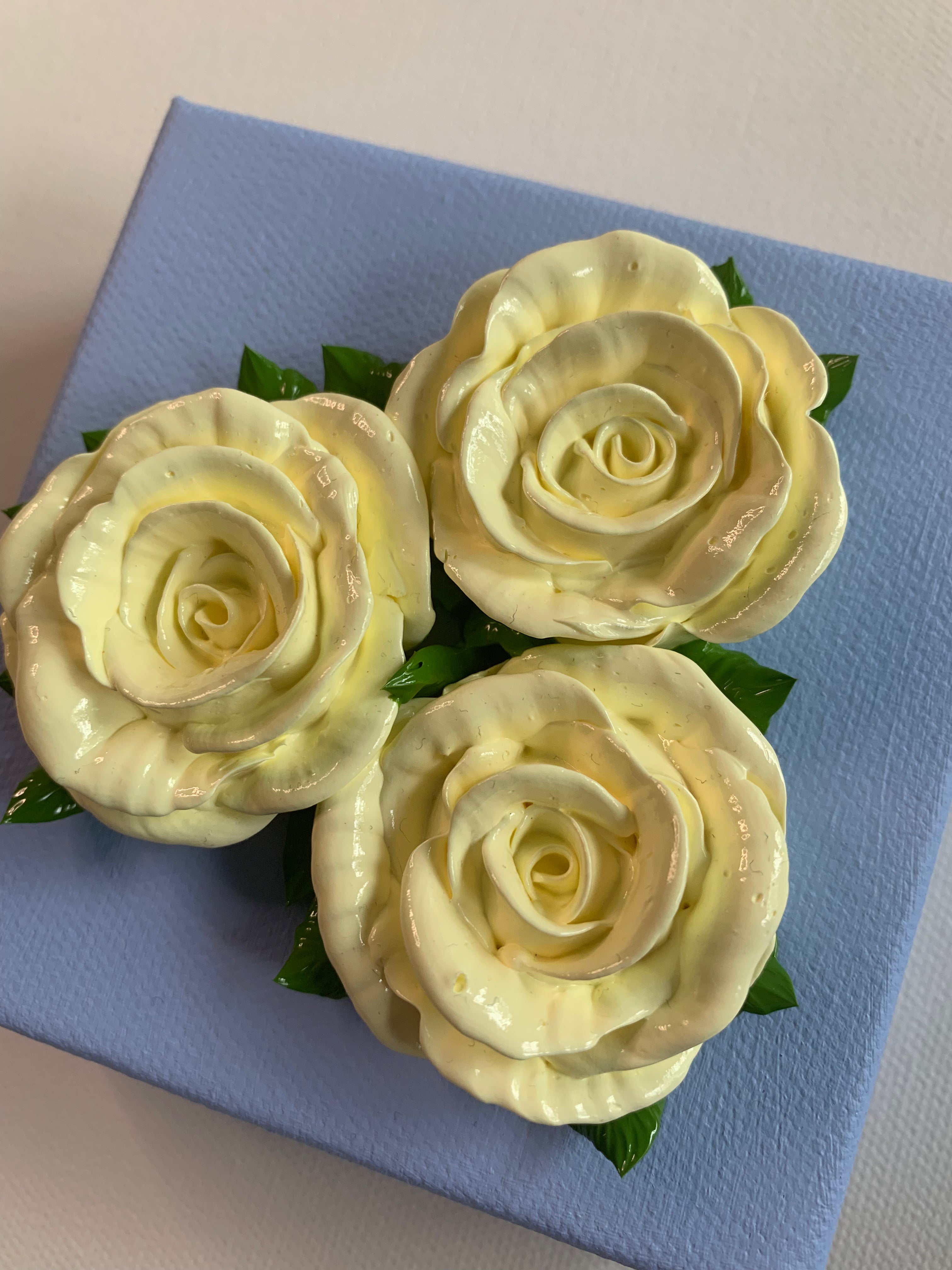 Three creamy white roses on a powder blue background, close up.