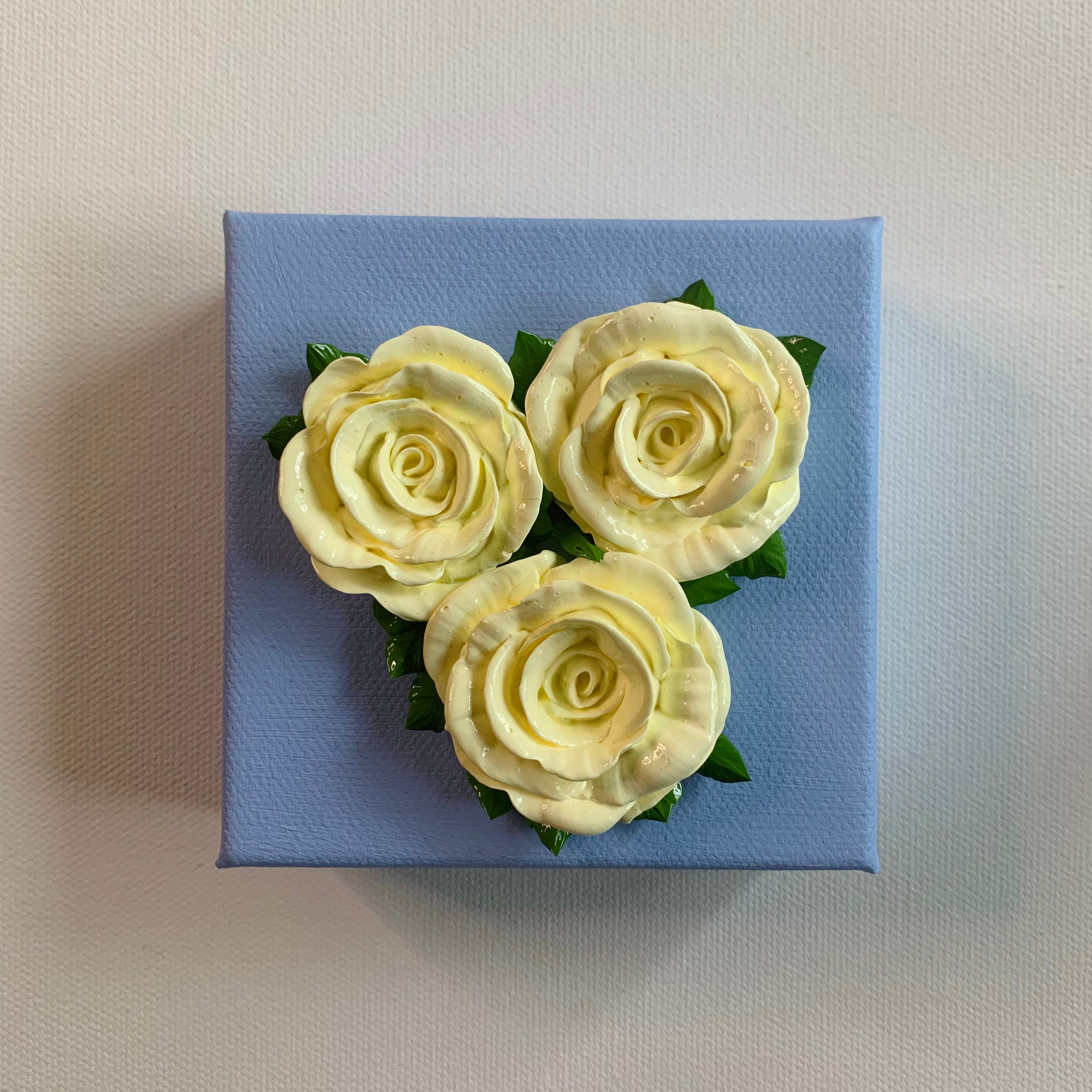 Three creamy white roses on a powder blue background