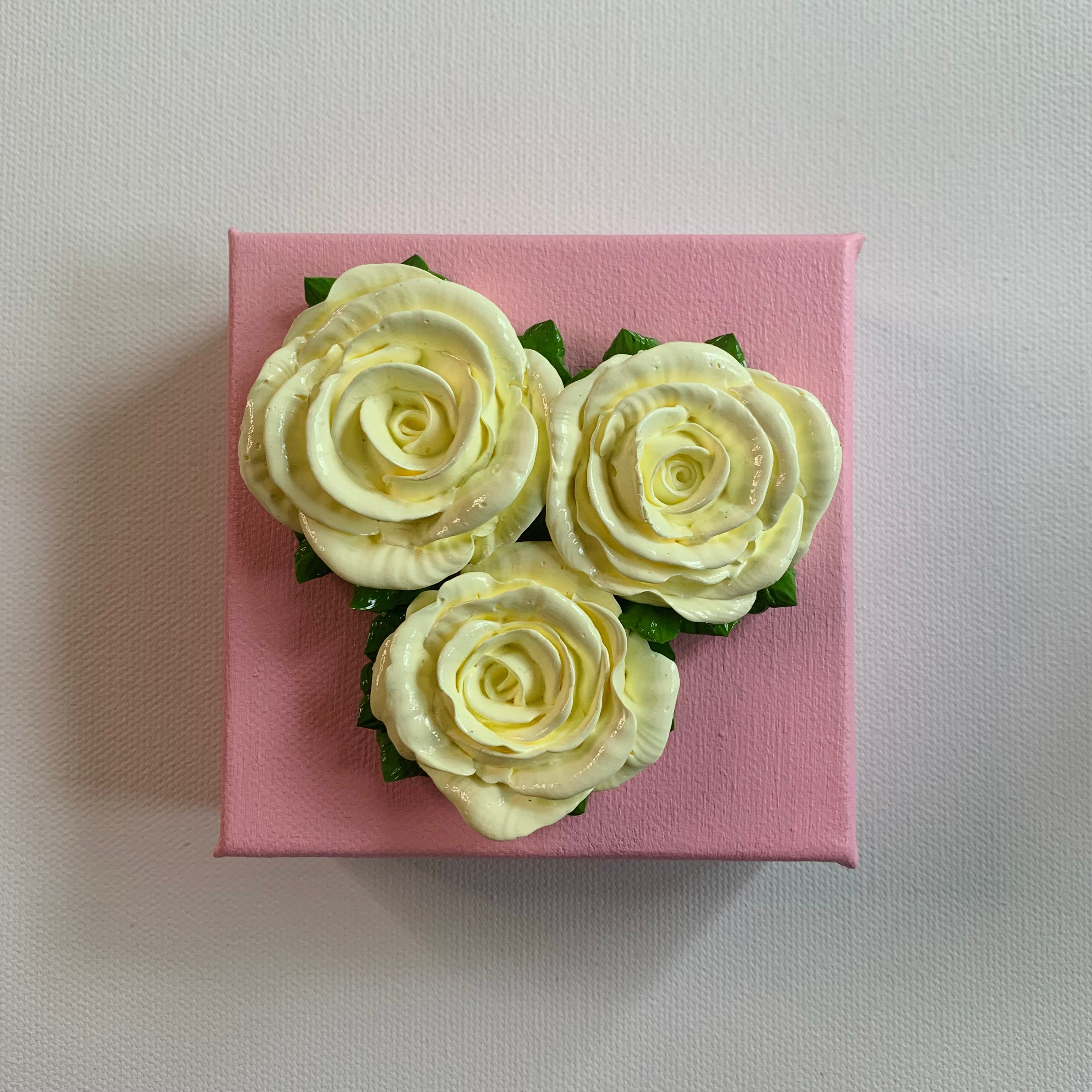 4x4 inch Cream Roses on Pink #1