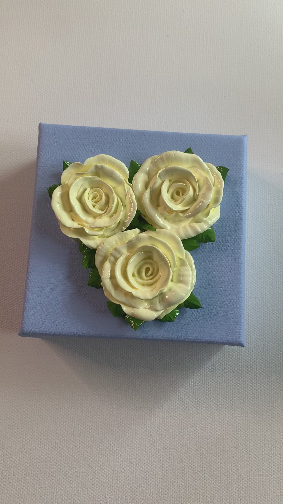 Movie of three creamy white roses on a powder blue background.